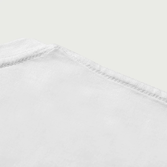 Prada The Italian Dobermans - Picture 5 of 5